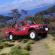 Illustration for article titled FORTY 3RD: THE OTHER DATSUN PICKUP
